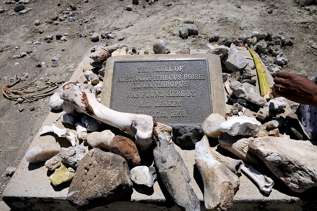 1080px-Plaque_marking_the_discovery_of_Australopithecus_in_Tanzania